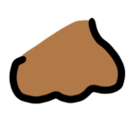 a medium brown button nose.